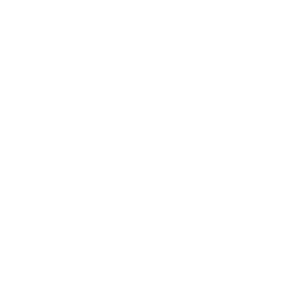 Clean Exhaust Association e.V.
